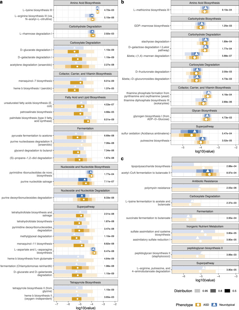 Extended error bar plot showing metabolic pathways significantly different between ASD and neurotypical microbiomes, including LPS biosynthesis, polymyxin resistance, and GABA degradation pathways.